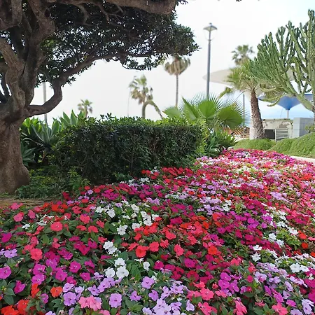 Estepona Apartment